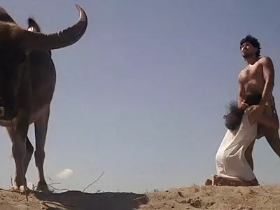 Ama kılsız, yerli erotik seks filmleri beceriyor